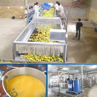 Linea di produzione di succhi di frutta concentrati 5T/H.
