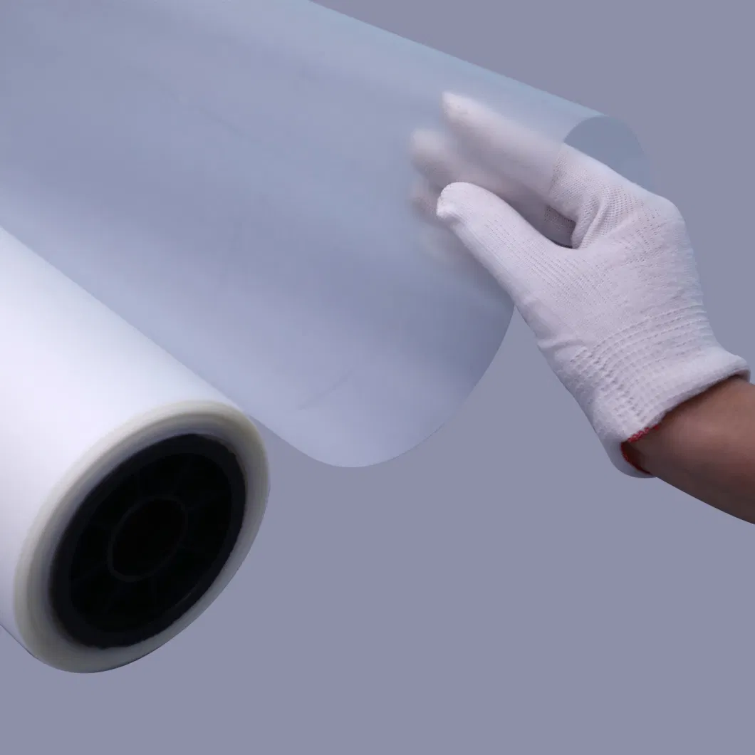 Hot Peel Cold Peel Double Single Side Printing 75 Micron 30 33 60 Cm 60cm 60cm*100m Dtf Pet Film Roll for Heat Transfer Printer