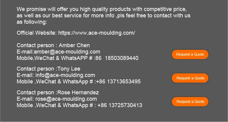 Competitive Price Custom Plastic Injection Mould Manufacturer Latest Design Moulding/Plast/Die