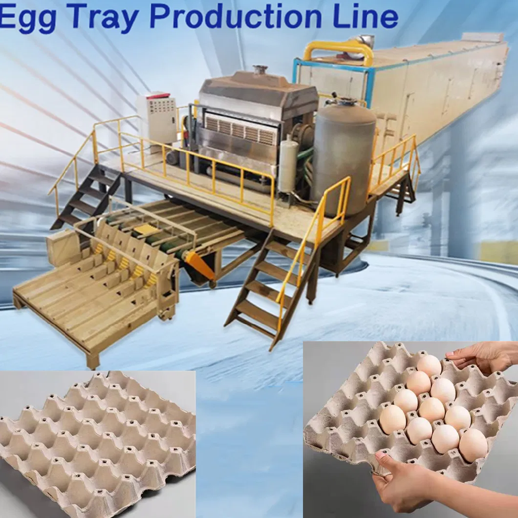 Fully Automatic Waste Paper Recycling Machine Eggs Tray Egg Tray Carton Machine