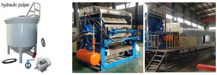 Fully Automatic Waste Paper Recycling Machine Eggs Tray Egg Tray Carton Machine