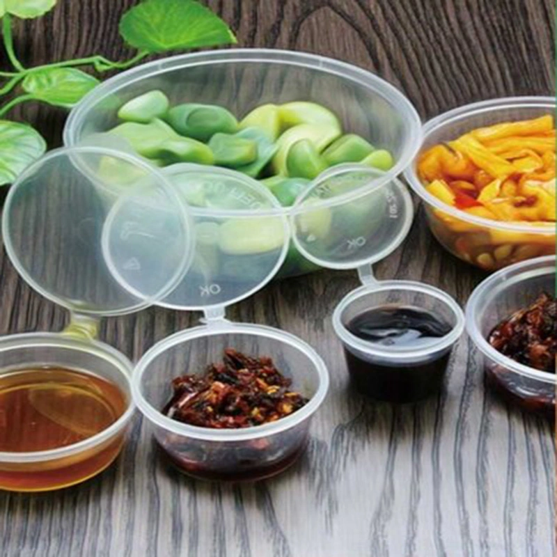 Transparent Plastic Food Container Eco-Friendly PP Box