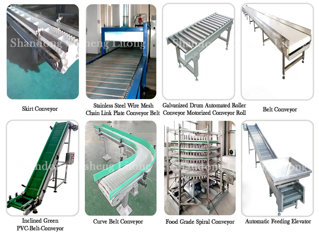 Stainless Steel Plastic Wire Mesh Belt Conveyor for Food Drying