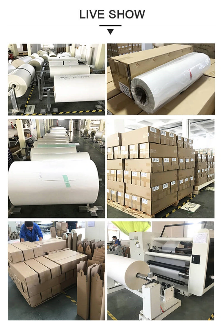 SD09 Printable Htv Sheets Eco Solvent Thermal Transfer Film Htv Vinyl Decal Roll 150 Cm