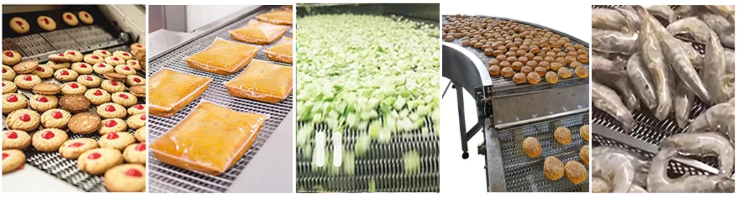 Stainless Steel Plastic Wire Mesh Belt Conveyor for Food Drying