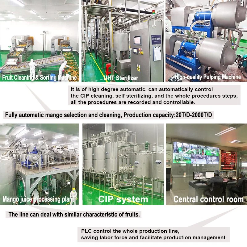 5T/H Concentrated Fruit Juice Production Line