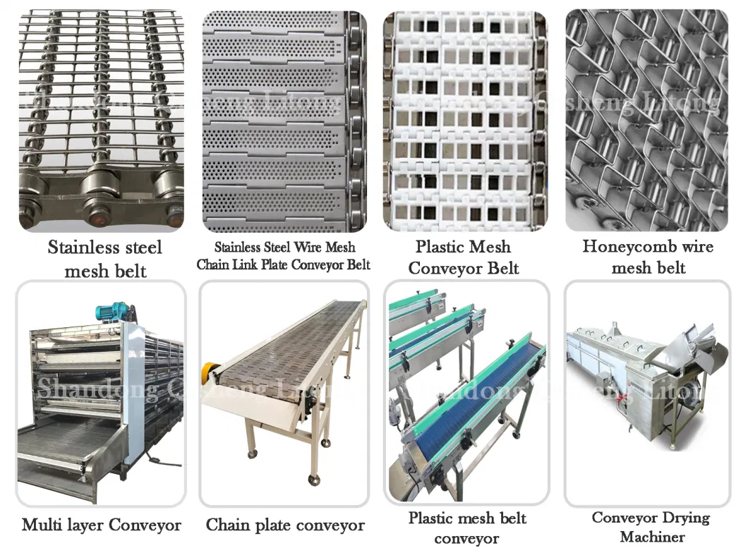 Stainless Steel Plastic Wire Mesh Belt Conveyor for Food Drying