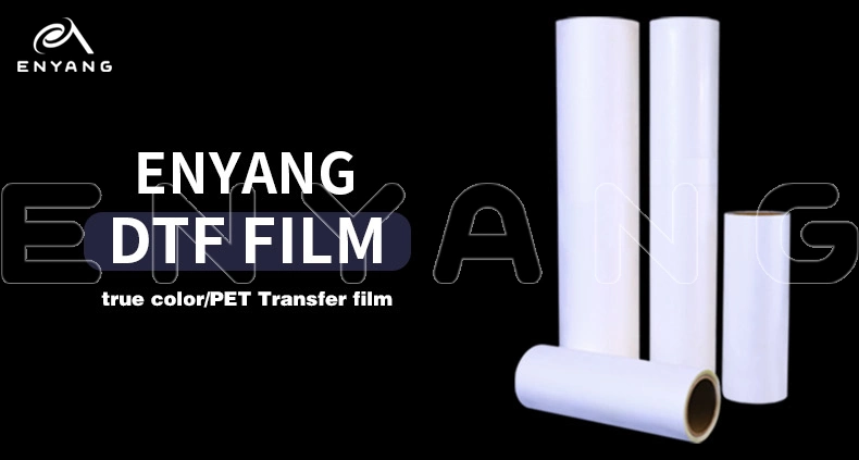 Heat Transfer Film Pet Dtf Film A3+ for Men T Shirt Shoes Garment