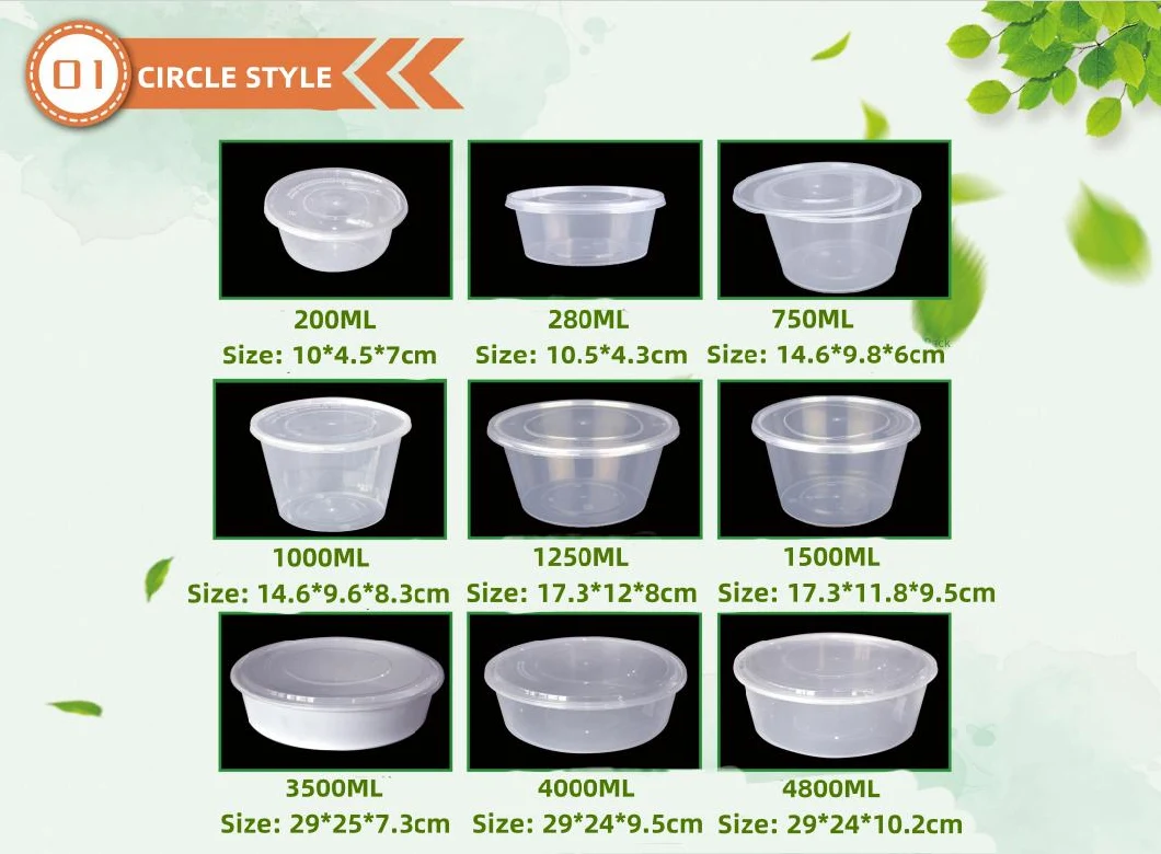 Transparent Plastic Food Container Eco-Friendly PP Box