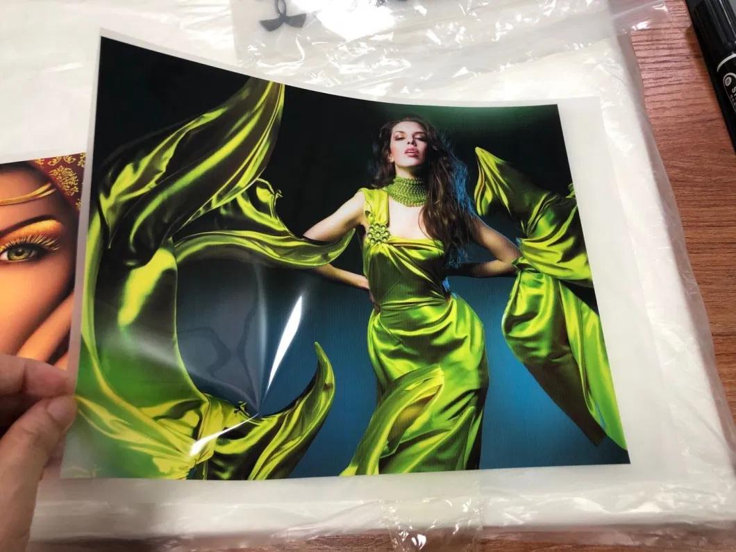 Inkjet Printing Paper Pet Film Image Printing for T-Shirt Clothes Printable Heat Transfer Film Water Base Ink Pigment Ink Printing Paper for Garment Accessories