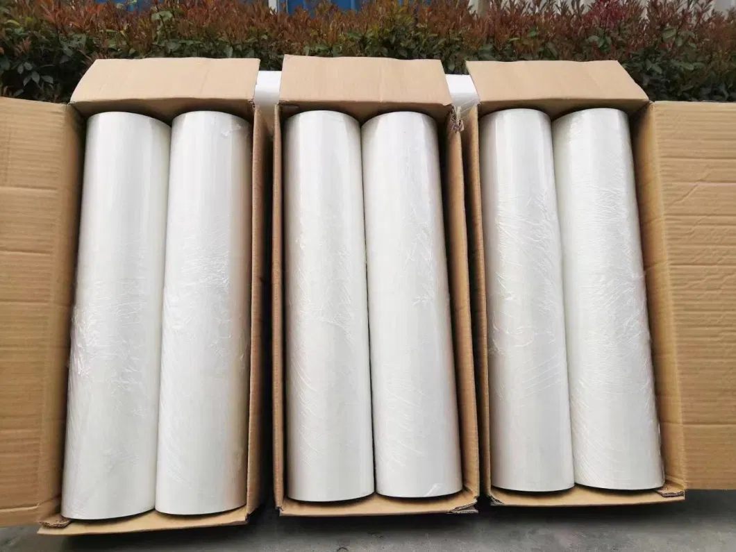 Digital Transfer Printable Cold/Warm Peeled Direct Transfer Film Dtf Film for Heat Transfer