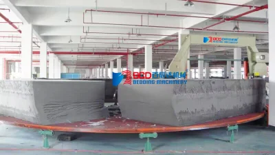 Model Bypq-60/70/100 Foam Carrusel Slice Cutting Machine