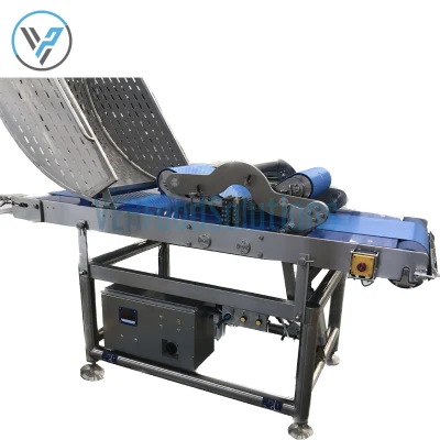 China Manufacturer High Quality Automatic Horizontal Beef/Chicken/Mutton Slicing Slicer Machine