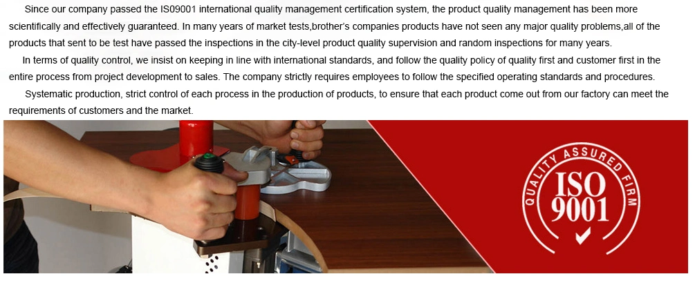 Wp Dust Free Wood Working Wood Cutting Table Saw Machine Cast Iron Cabinet Sliding Table Panel Saw Machines Cutting Machine Cutting Tool Wood Panel Saw