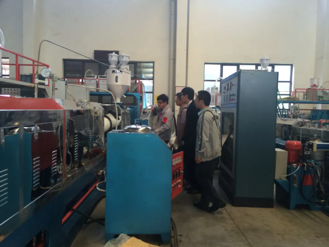 Hot-Sale EPE Foam Fruit Pack Net Machine