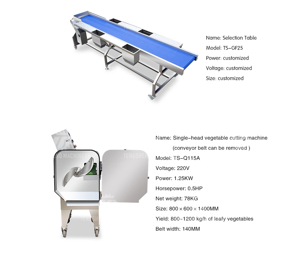 Multifunctional Food Vegetable Hair Roller Bubble Production Line Cleaning Selection and Cutting Machine