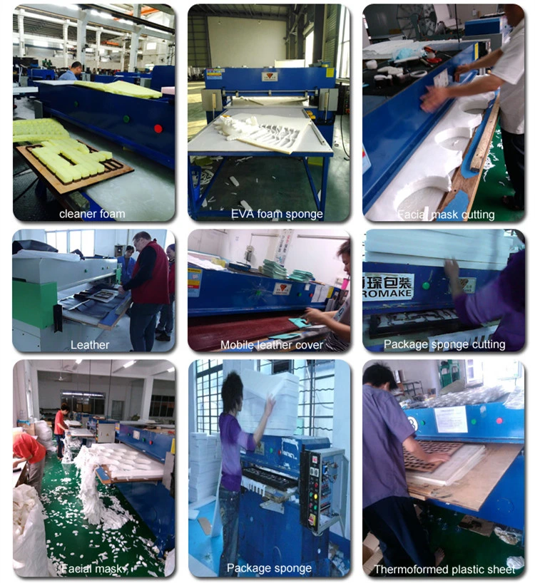 Hydraulic PVC Foam Board Press Cutting Machine (HG-B30T)