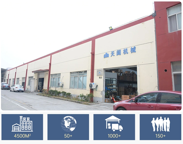 Tianhe Pillow Type Packaging Machine Automatic Sealing and Cutting Shrink Machine