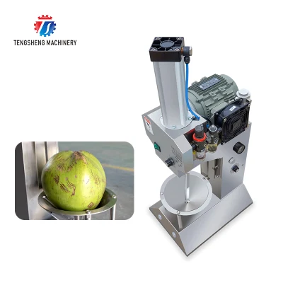  800W máquina de fresado de coco automático dispensador de coco pelado máquina TS-P25