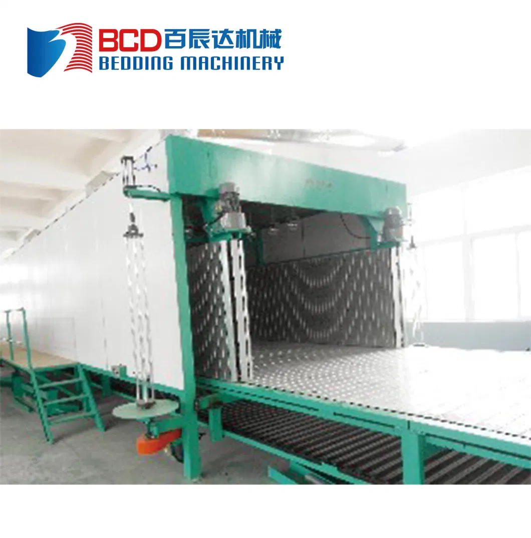 China High Quality Continuous Foaming Production Line for Foaming Machinery (BLXFP)