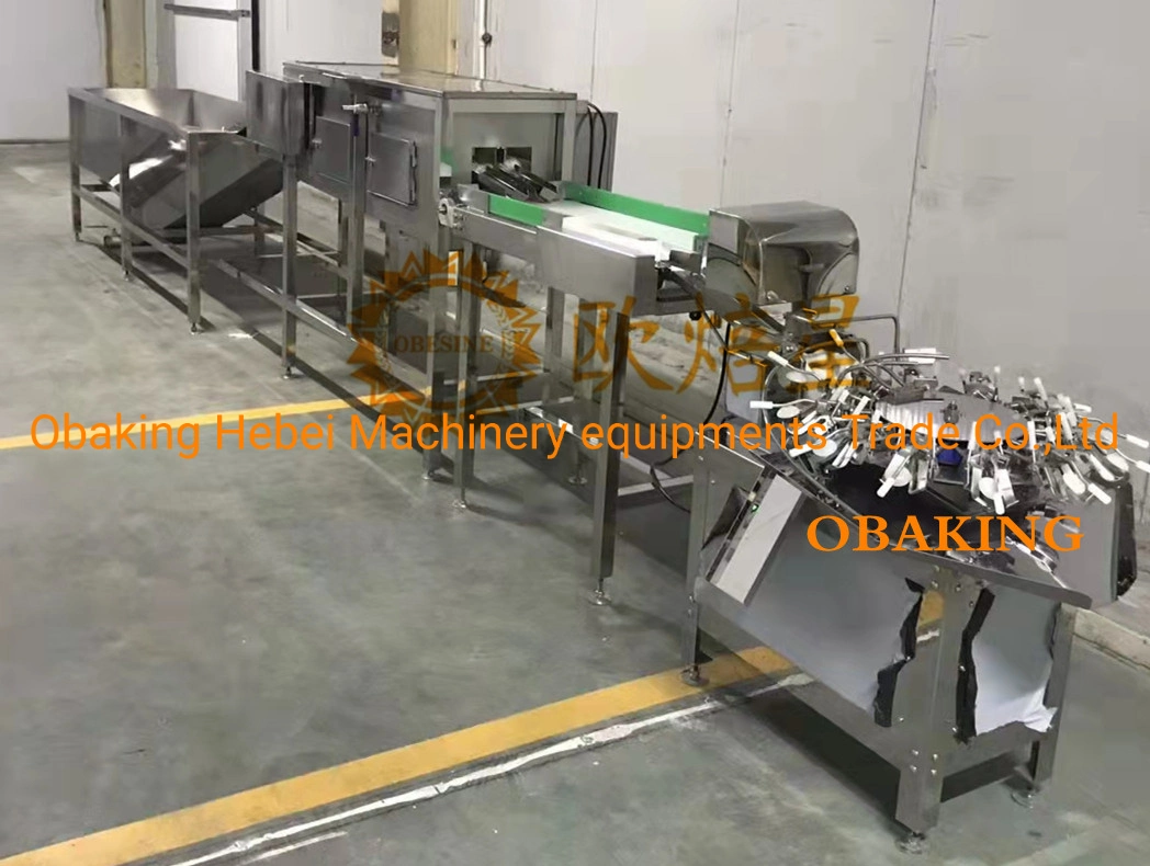 Turnkey Project Central Bakery Factory Equipment Automatic Cake Production Line Sonic Cutter