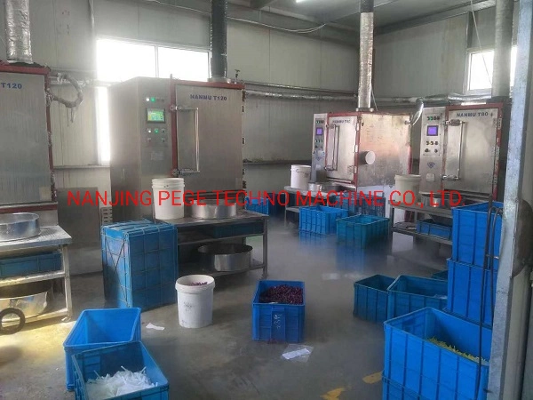 Nanjing Pege Frozen Shot Cryogenic Deflashing Machine