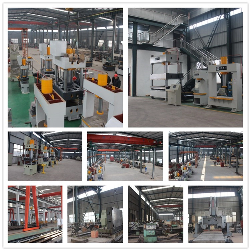 Nadun 630 Ton Hydraulic Press Machine Production Line for Animal Mineral Block
