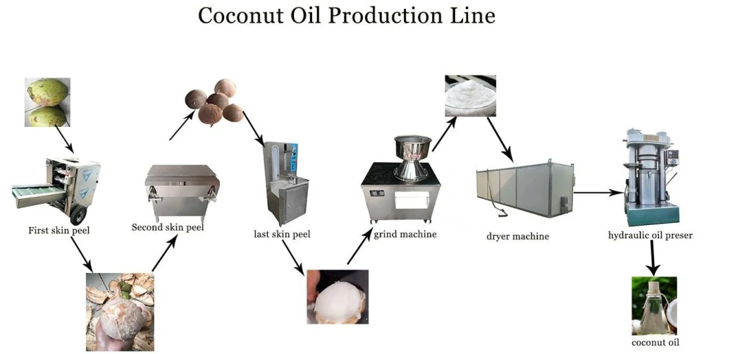 Small Hydraulic Coconut Seasme Cocoa Bean Oil Extractor Oil Presser Cold Oil Press Machine