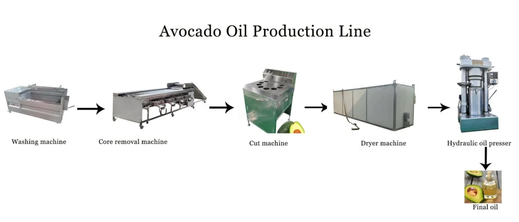 Small Hydraulic Coconut Seasme Cocoa Bean Oil Extractor Oil Presser Cold Oil Press Machine