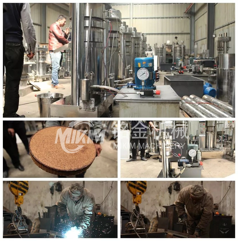 Hydraulic Coconut Avocado Olive Oil Presser Small Commercial Oil Press Machine Price Electric Oil Expeller Extraction Machine Making Processing Machines