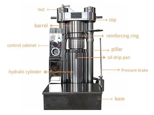 Automatic Industrial Cold Organic Press Hydraulic Oil Extraction Press Machine for Business