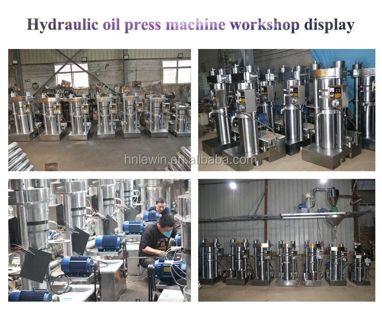 Automatic Hydraulic Cooking Edible Oil Making Machine Sesame Coconut Avocado Oil Extraction Peanut Linseed Oil Press Machine