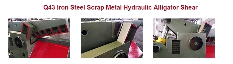 Hydraulic Alligator Shear Sheet Metal Guillotine for Sale
