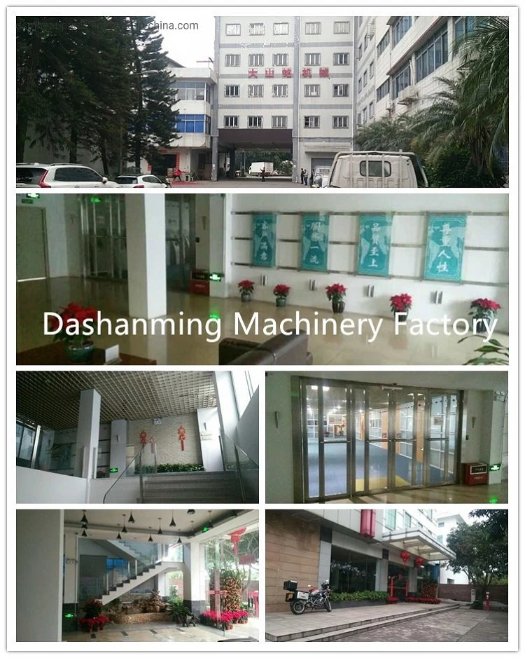 Dsmc Manufacturer Automatic Pneumatic Tshirt Heat Press Printing Machine Two Station Sublimation Machine