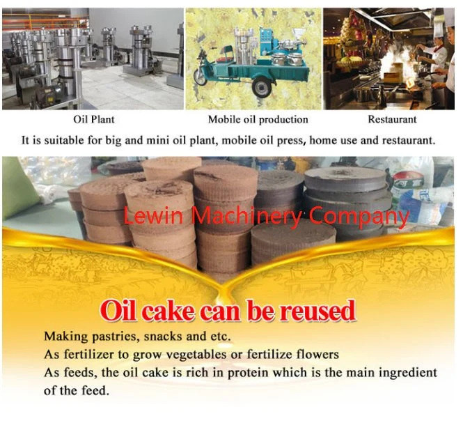 Automatic Hydraulic Cooking Edible Oil Making Machine Sesame Coconut Avocado Oil Extraction Peanut Linseed Oil Press Machine