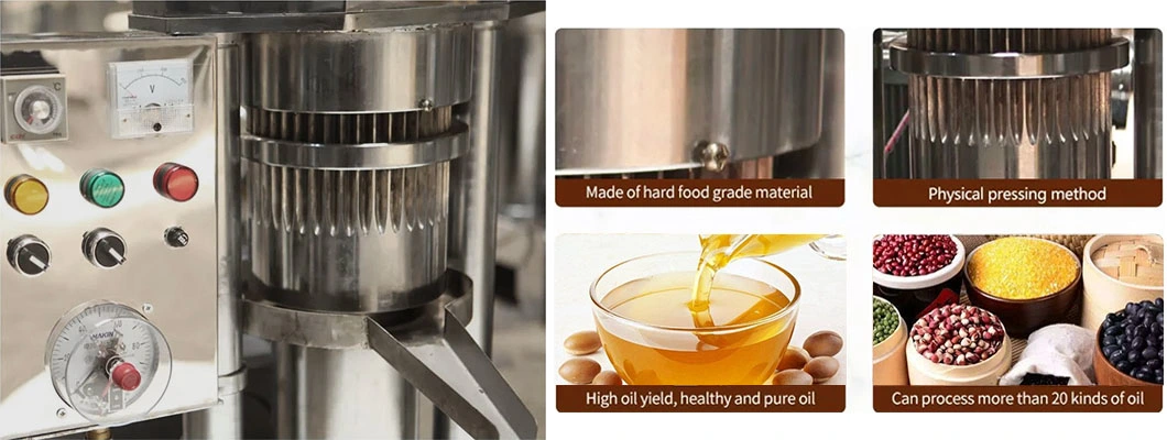 Rapeseed Almond Hydraulic Oil Press Walnut Peanut Grape Seed Oil Press Equipment