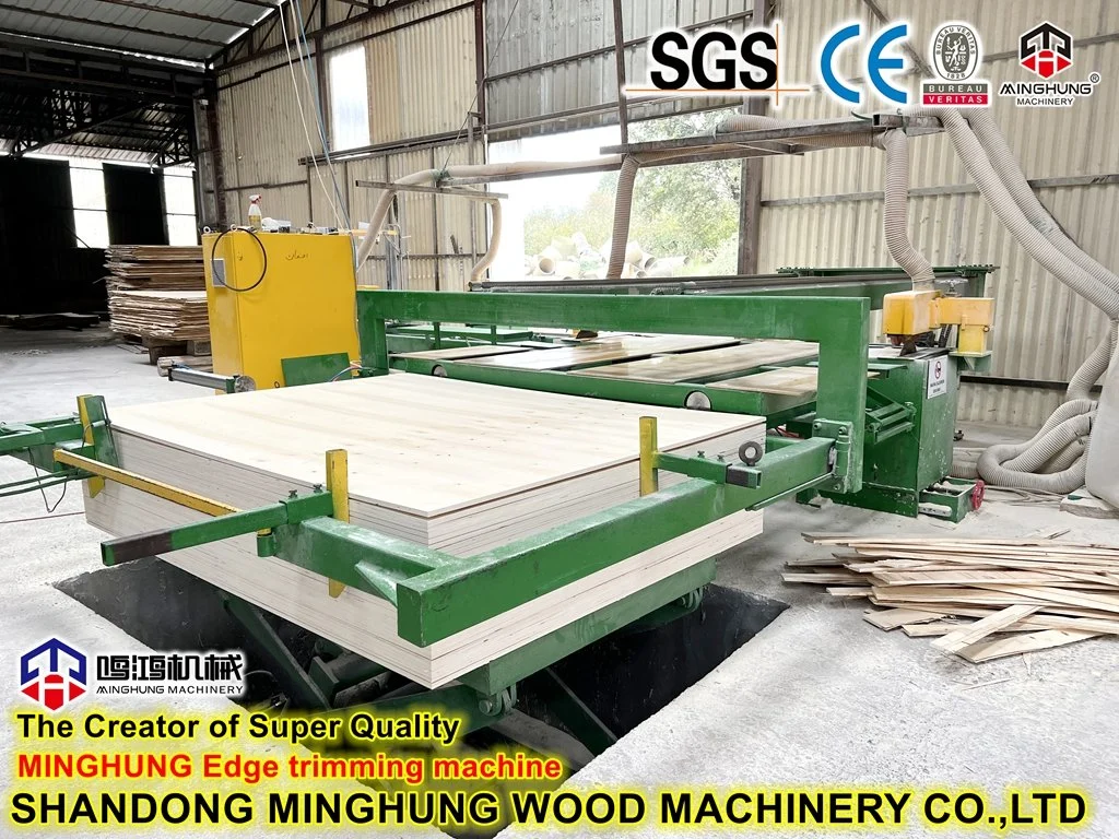 Hydraulic Woodworking Veneer Plywood Hot Press Machine with Automatic Loader and Unloader