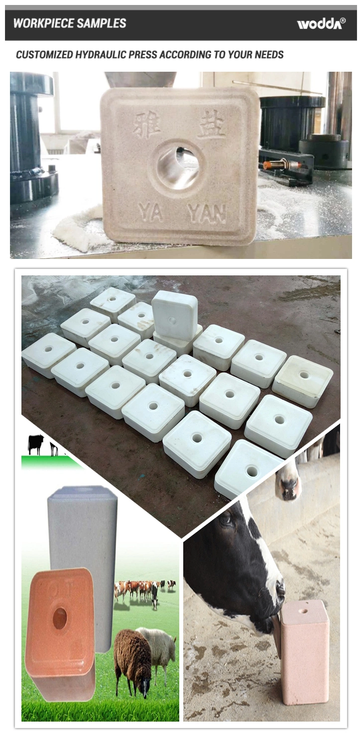 630 Ton Servo Animal Mineral Licking Salt Block Hydraulic Press