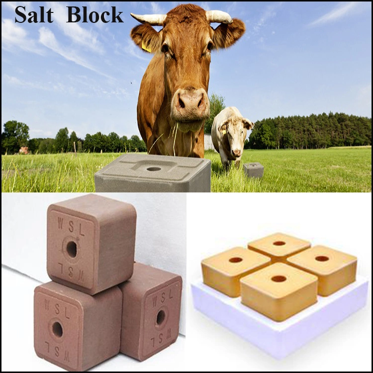 10kg 20kg Animal Licking Salt Block Hydraulic Press for Manufacturing Plant