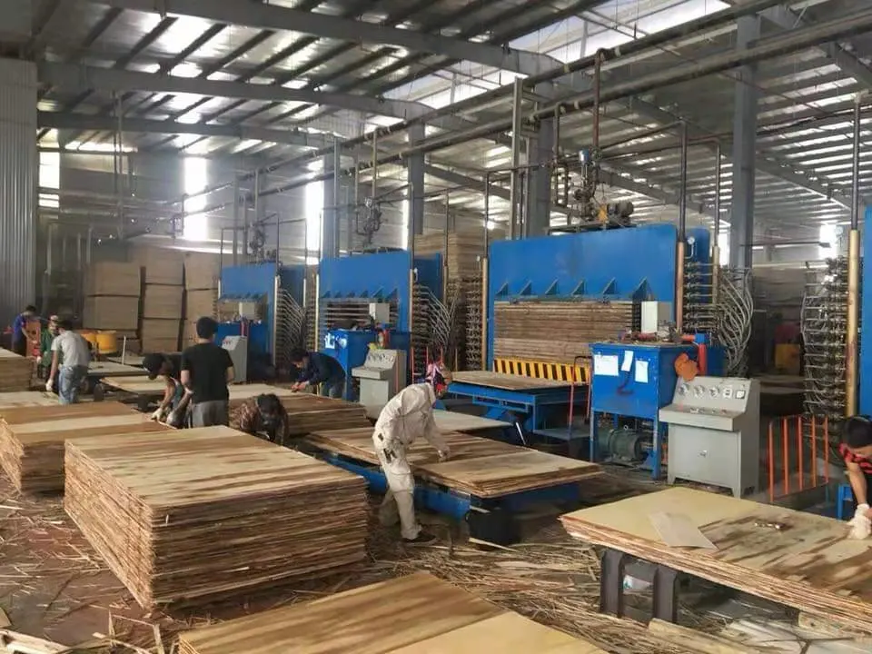 4*8FT 6*9FT Plywood Hot Press Machine of Plywood Production Line China