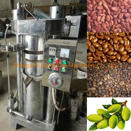 China Cold Pressed Sesame Hydraulic Olive Mini Oil Press