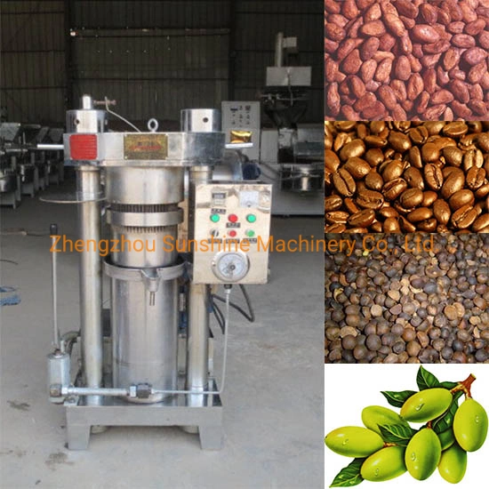 China Cold Pressed Sesame Hydraulic Olive Mini Oil Press