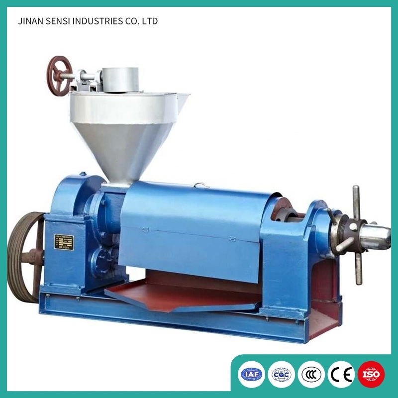 45kg Cocoa Pumpkin Extraction Hydraulic Cold Mini Oil Press Machine