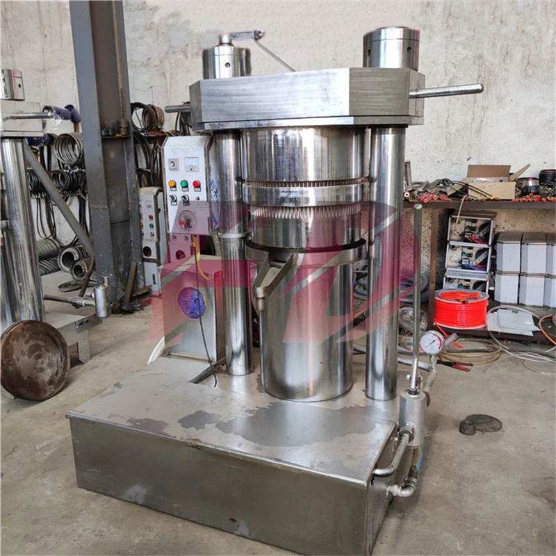 Multifunctional Vertical Hydraulic Oil Press with Simple Operation, Directly Sold by Manufacturers