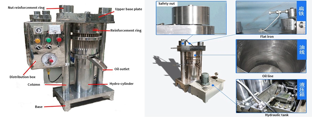 Multifunctional Vertical Hydraulic Oil Press with Simple Operation, Directly Sold by Manufacturers