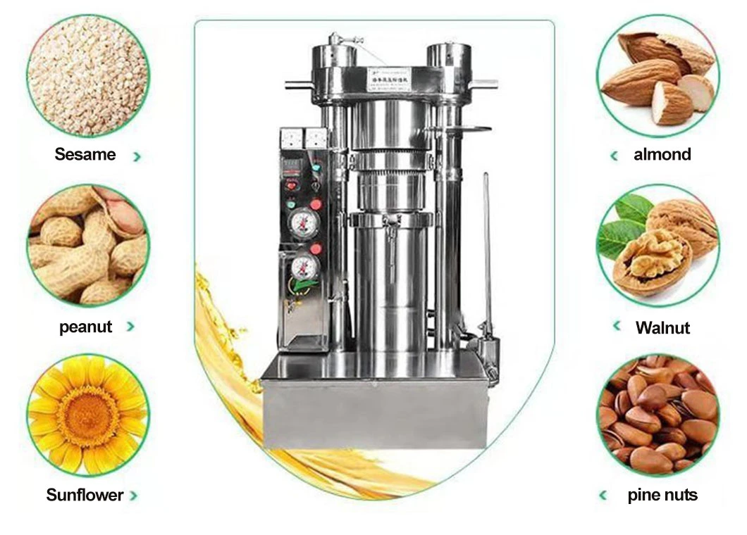 OEM Black Cumin Seed Hydraulic Oil Press Extractor Machine Industrial Basil Olive Oil Making Machine for Sale