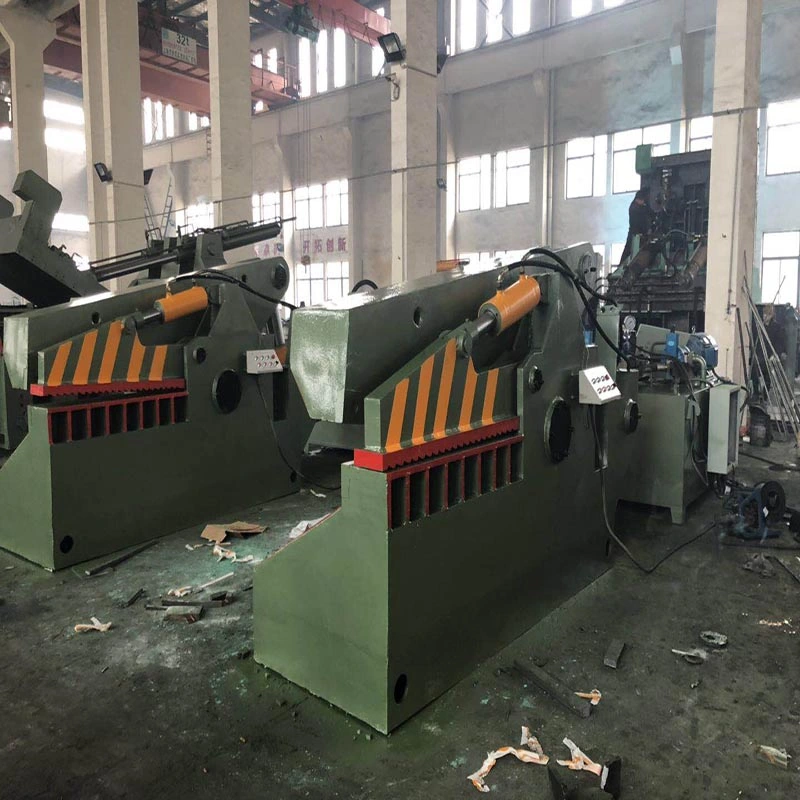 Shear Machine for Sale Hydraulic Alligator Shear Q43-315