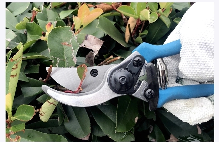 Manual Metal Shear Blue Sandy Polished PVC Handle Garden Scissors