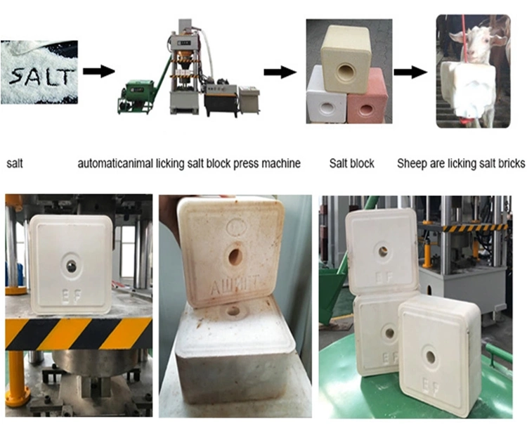 China Quality 800 Ton Hydraulic Press Machine for Animal Licking Salt Block Making