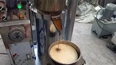 Trade Assurance Hydraulic Ginger Extraction Cooking Oil Manufacturing Manual Sunflower Olive Oil Press Machine for Sale